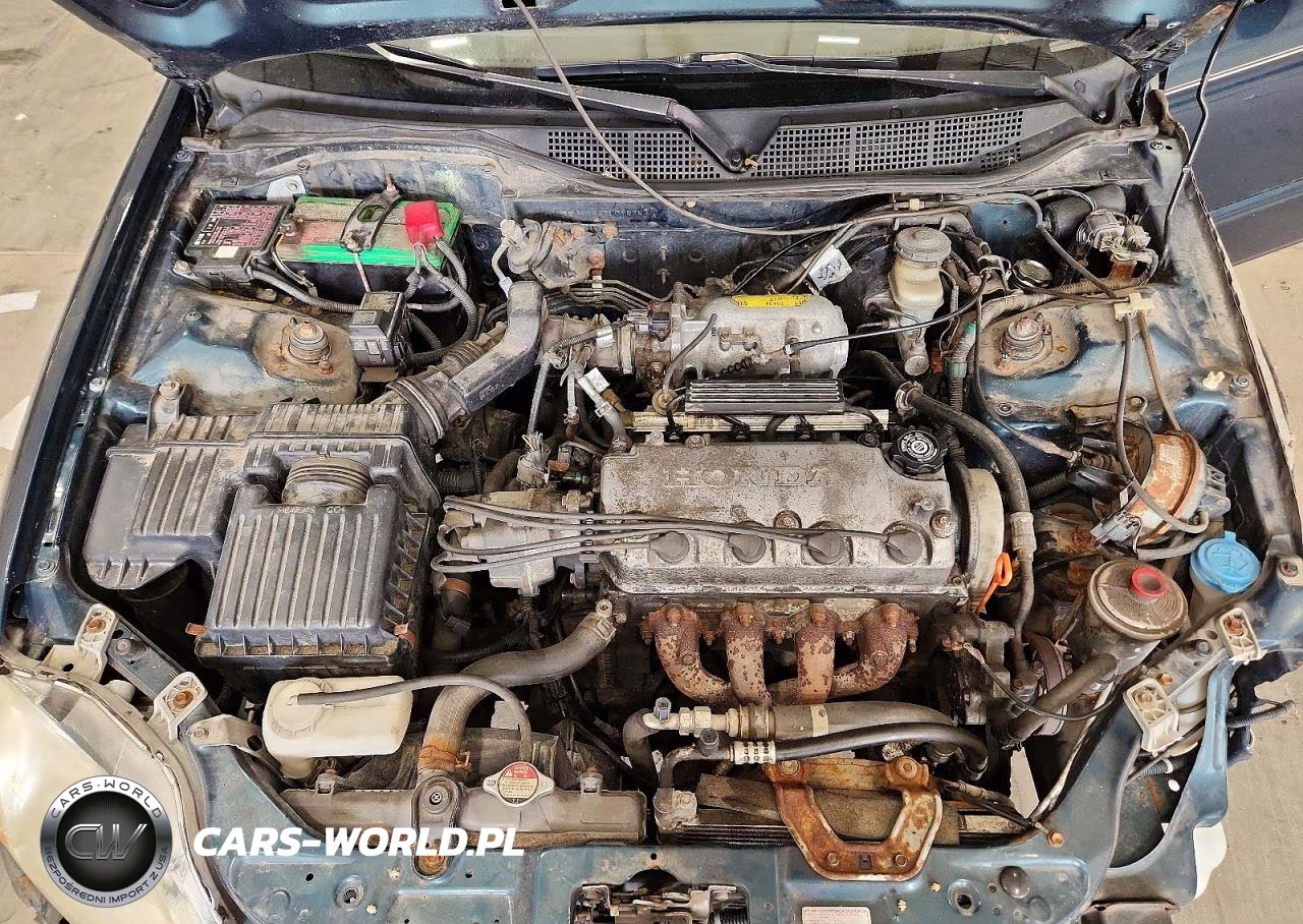 1996 Honda Civic Ex VIN:1HGEJ8642TL018287 - 11