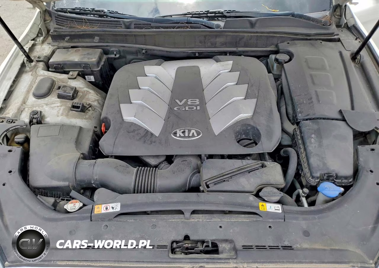 2015 Kia K900 Premium VIN:KNALU4D44F6026660 - 11