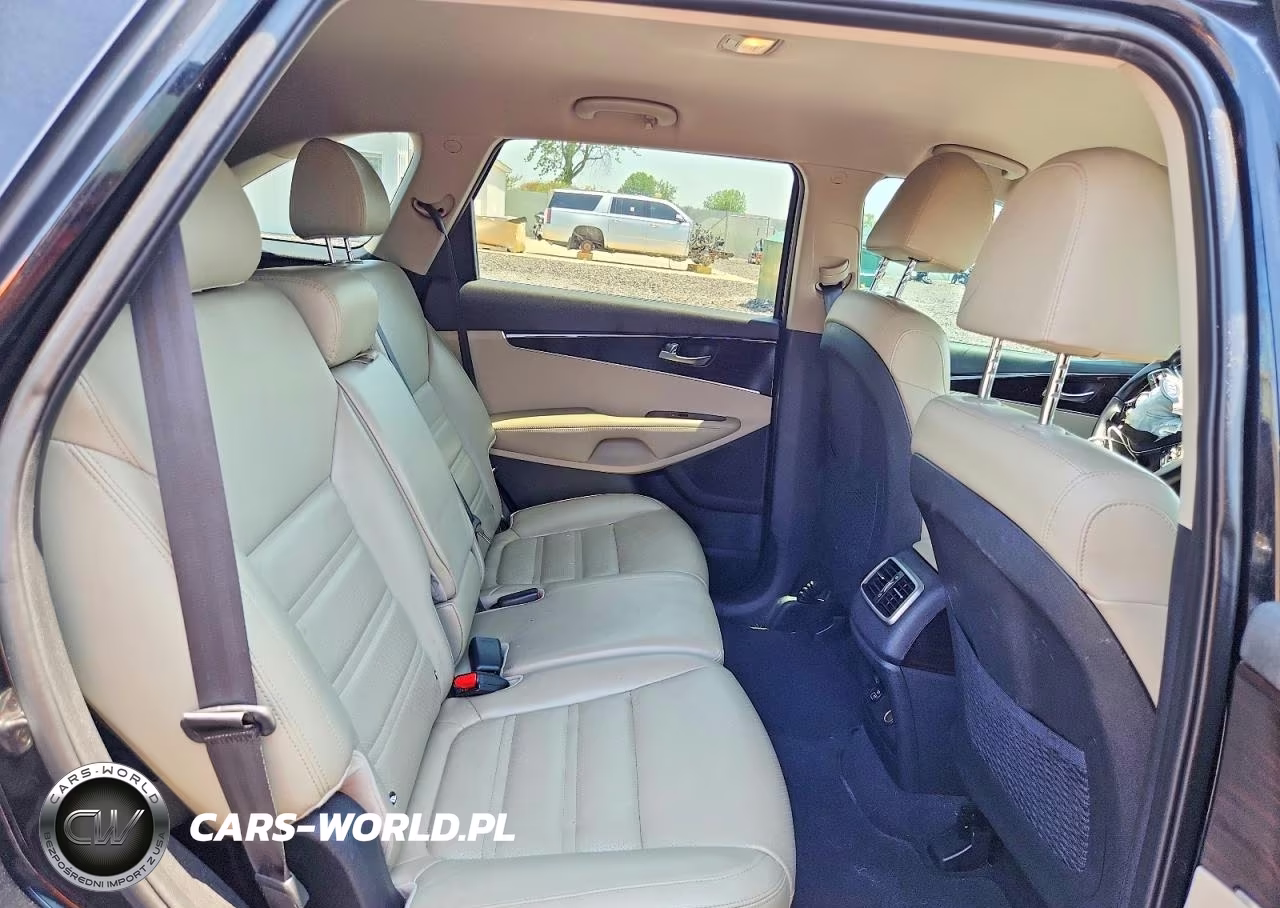 2019 Kia Sorento Ex V6 VIN:5XYPH4A57KG439640 - 11