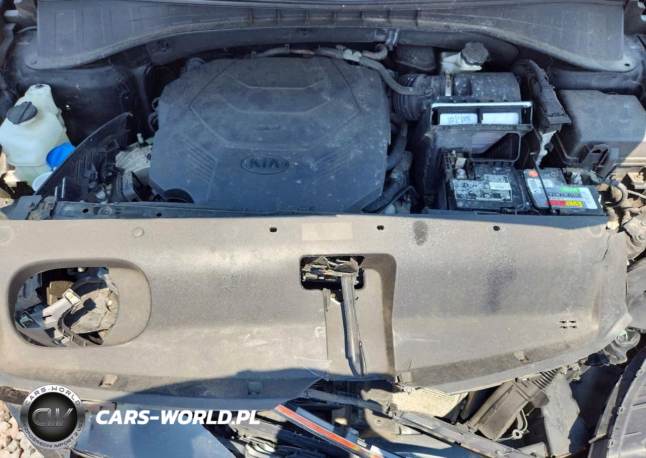 2019 Kia Sorento Ex V6 VIN:5XYPH4A57KG439640 - 12