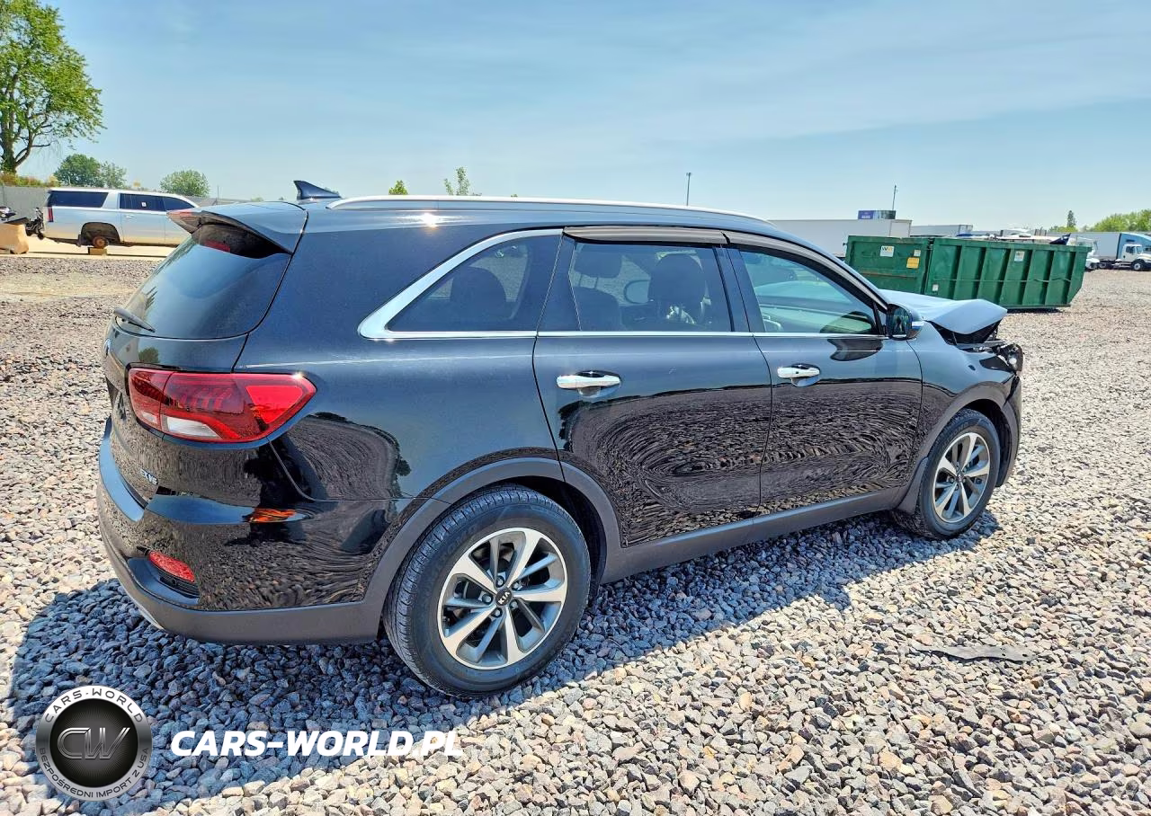 2019 Kia Sorento Ex V6 VIN:5XYPH4A57KG439640 - 3