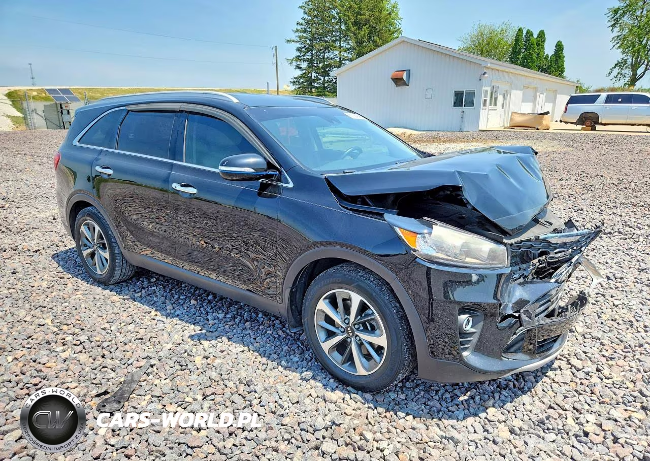 2019 Kia Sorento Ex V6 VIN:5XYPH4A57KG439640 - 4