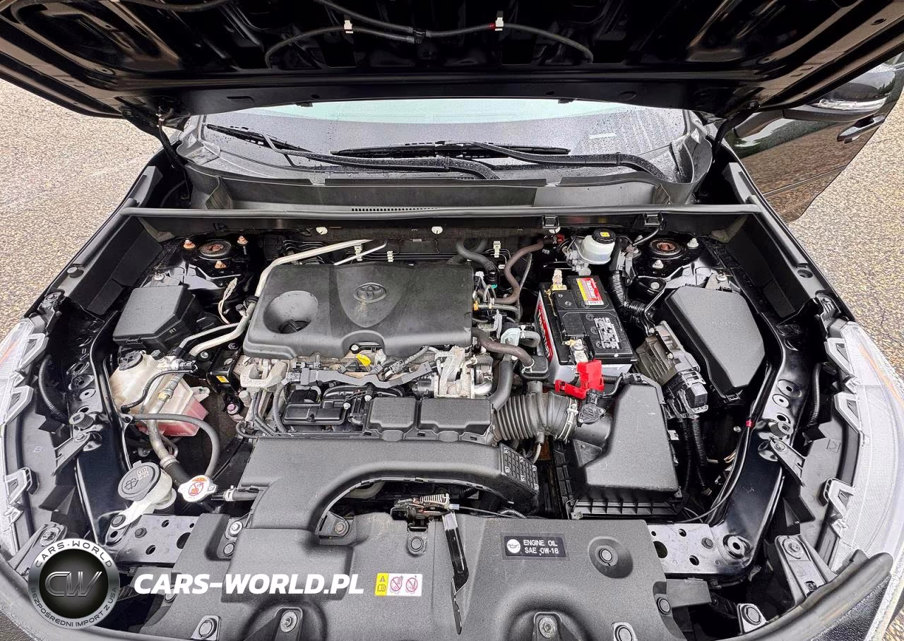 2019 Toyota Rav4 Xle VIN:JTMP1RFV4KD047028 - 7