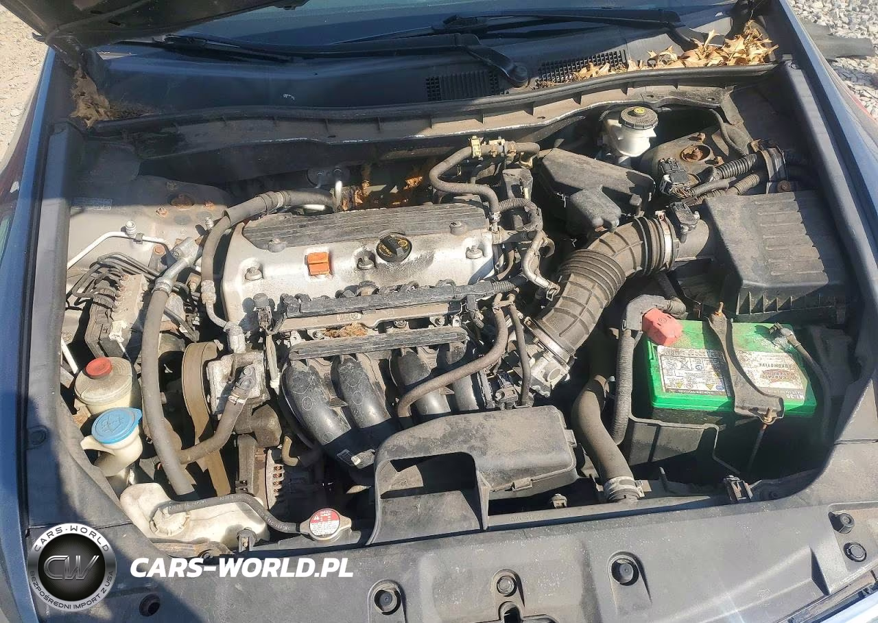 2011 Honda Accord Lx VIN:1HGCP2F39BA018274 - 11