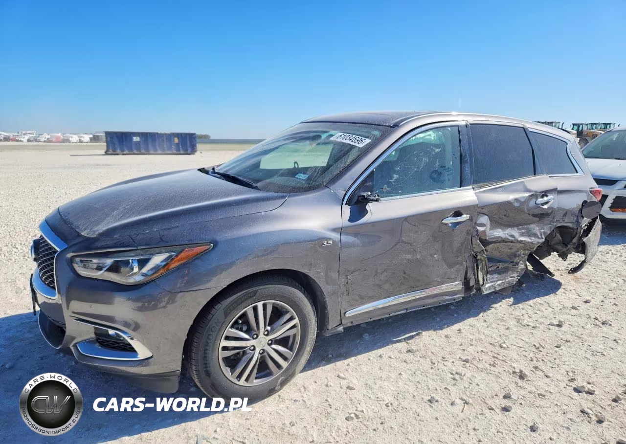 2019 Infiniti Qx60 Pure VIN:5N1DL0MN1KC567183 - 1