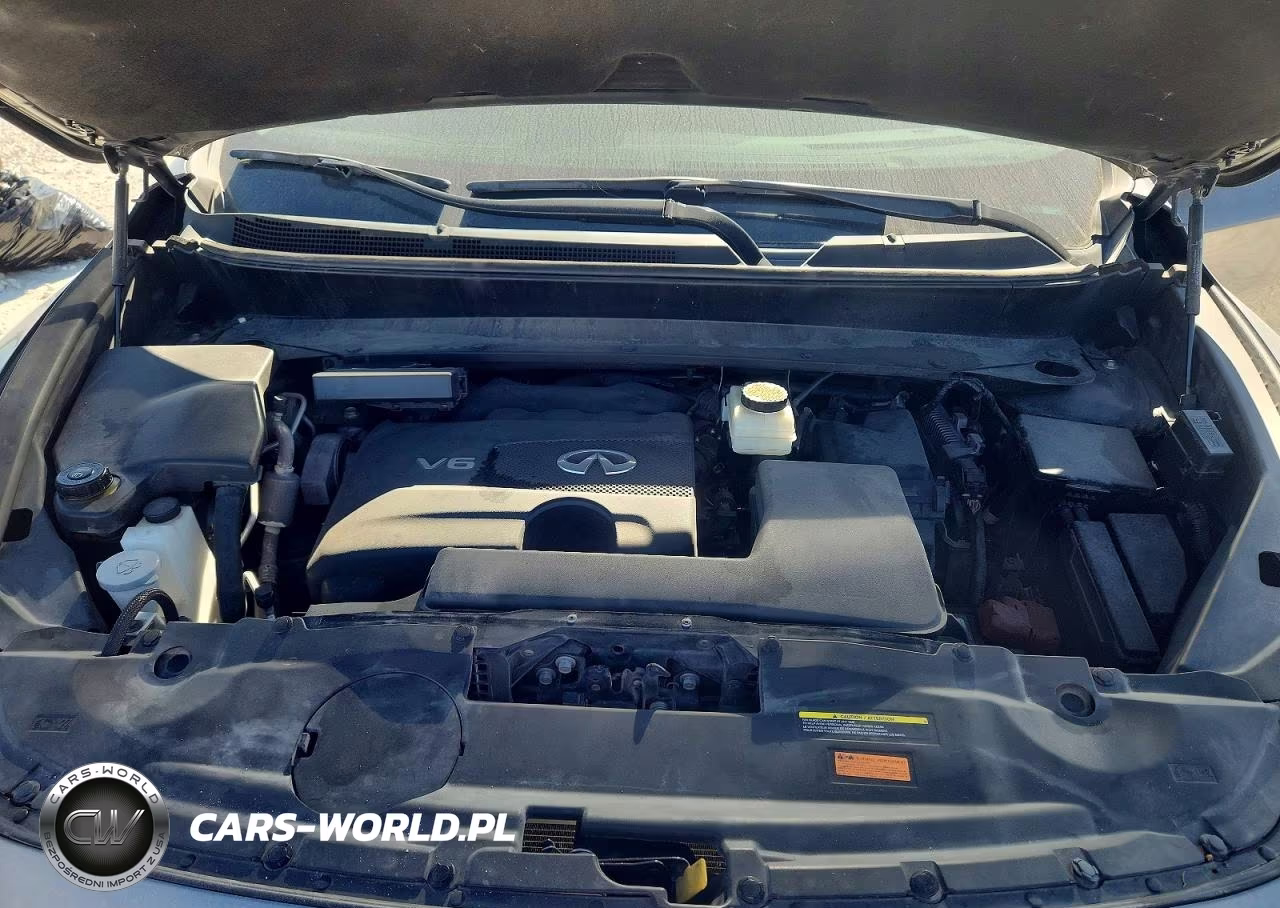 2019 Infiniti Qx60 Pure VIN:5N1DL0MN1KC567183 - 11