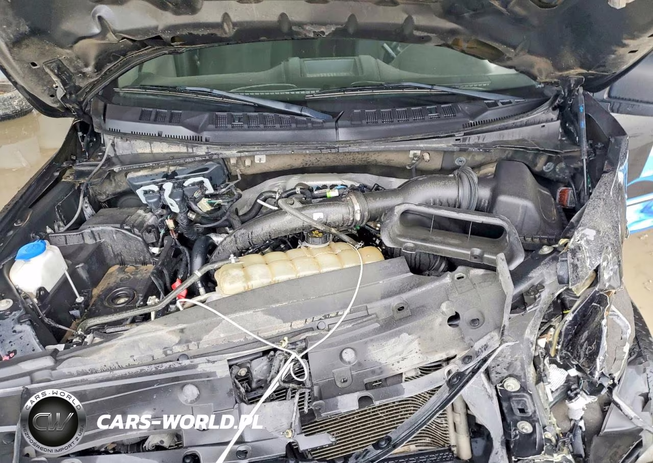 2020 Ford F150 Supercrew VIN:1FTEW1CP8LKE58817 - 11