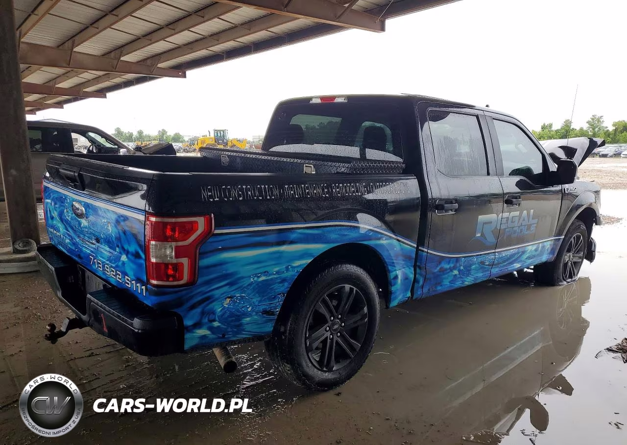 2020 Ford F150 Supercrew VIN:1FTEW1CP8LKE58817 - 3