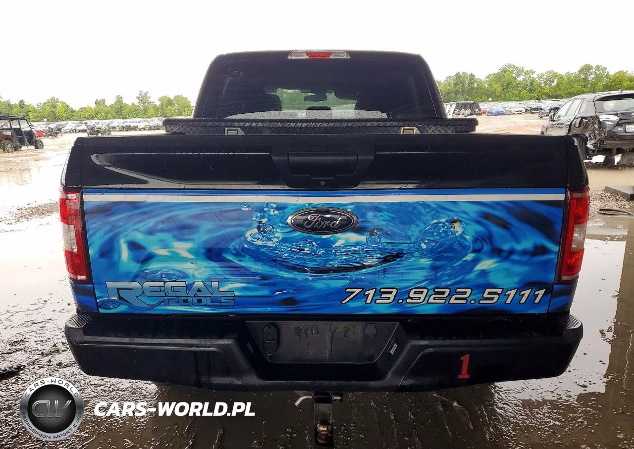 2020 Ford F150 Supercrew VIN:1FTEW1CP8LKE58817 - 6