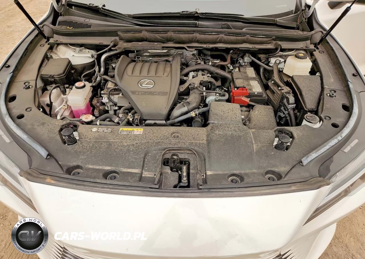 2024 Lexus Rx 350 Premium VIN:2T2BAMCA9RC060763 - 12