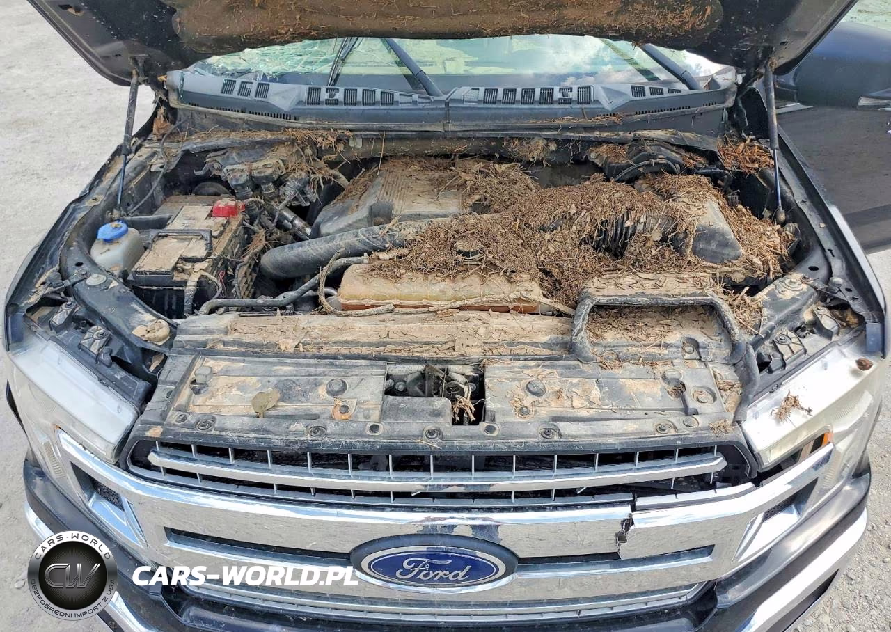 2018 Ford F150 Super Cab VIN:1FTFX1EG6JKC70311 - 11
