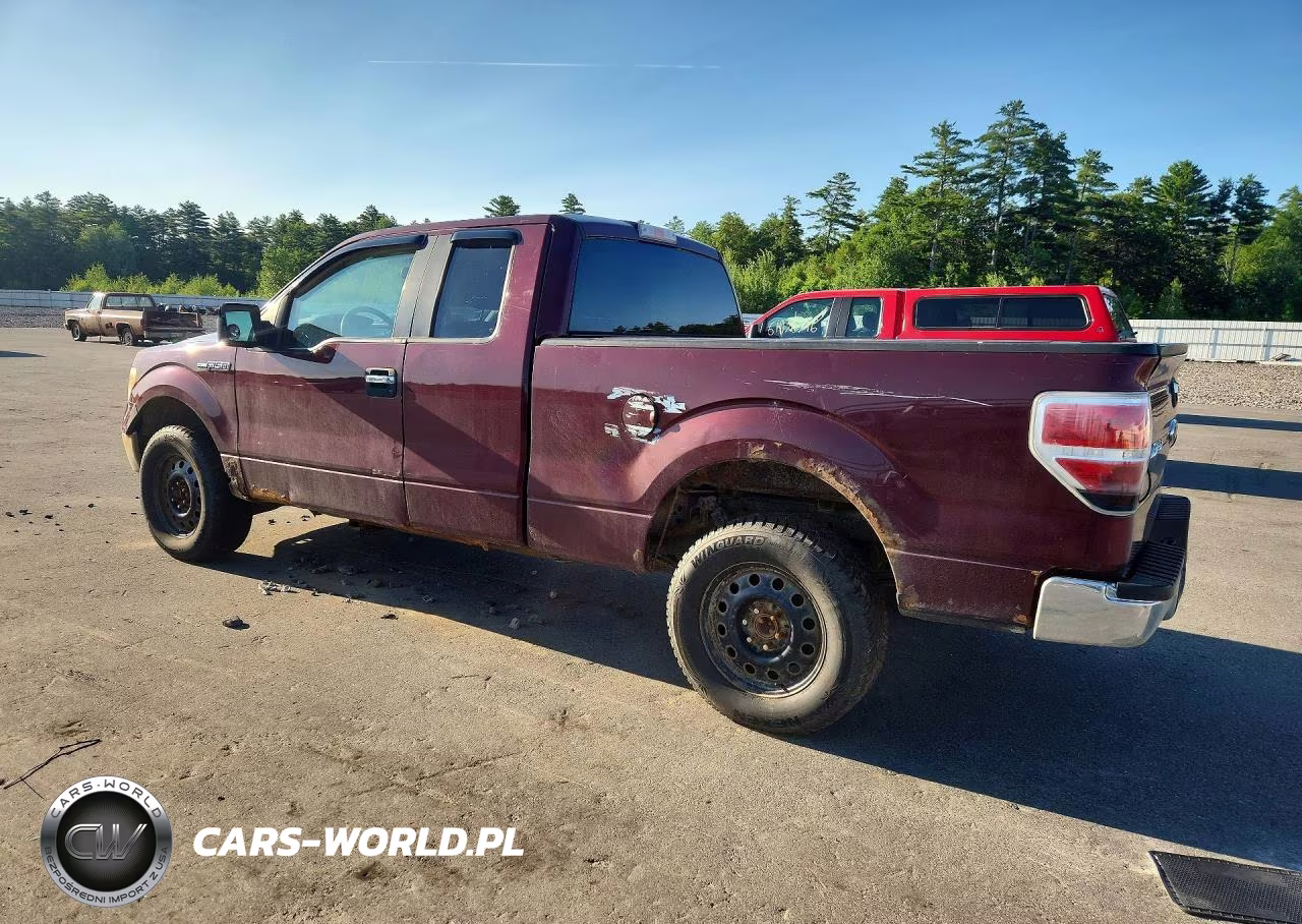 2009 Ford F-150 VIN:1FTEX1E85AFD37462 - 2