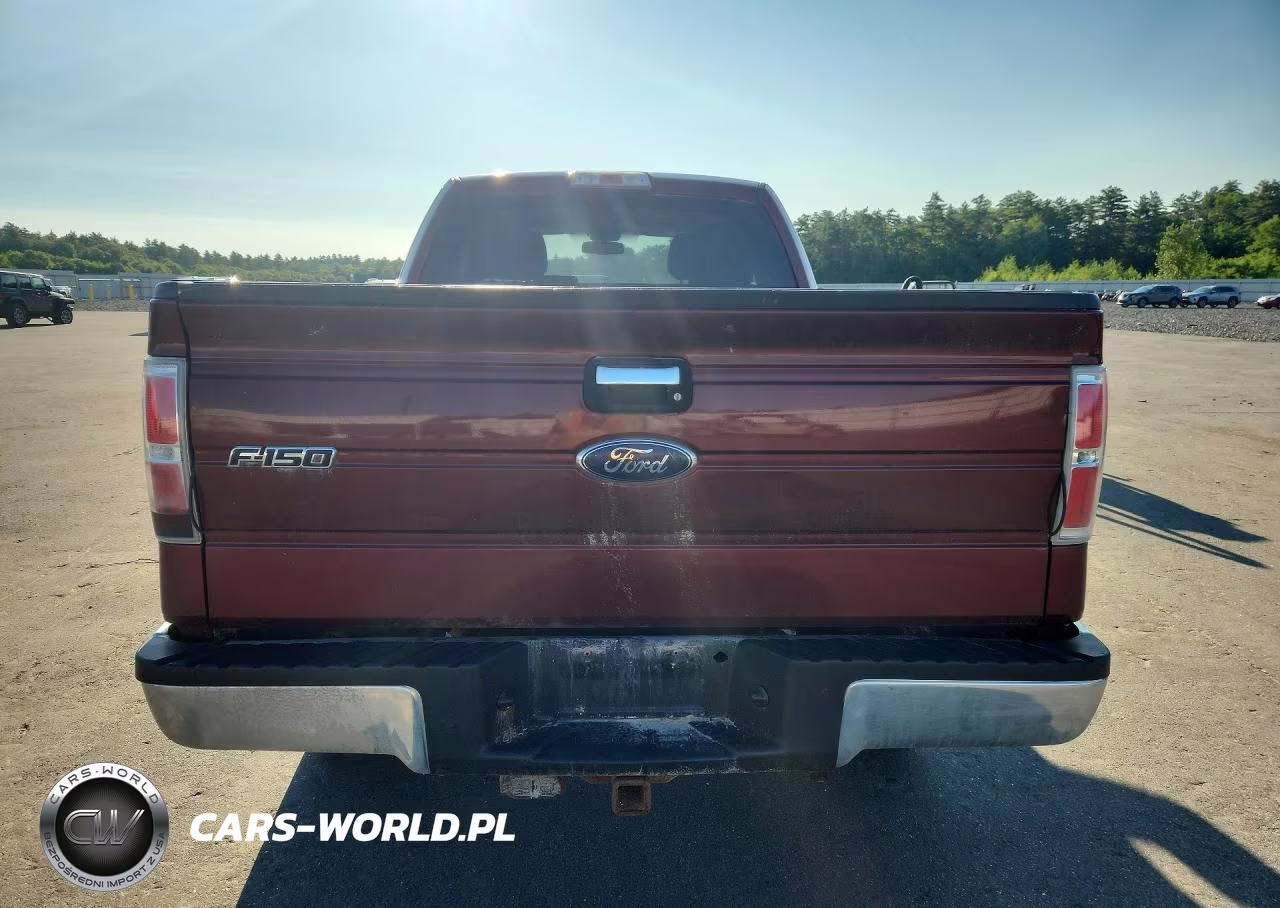2009 Ford F-150 VIN:1FTEX1E85AFD37462 - 6