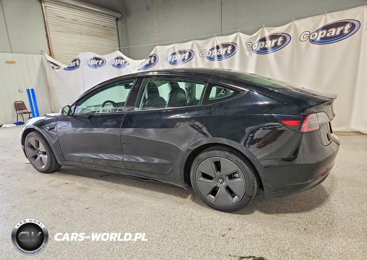 2022 Tesla Model 3 VIN:5YJ3E1EA0NF369004 - 2
