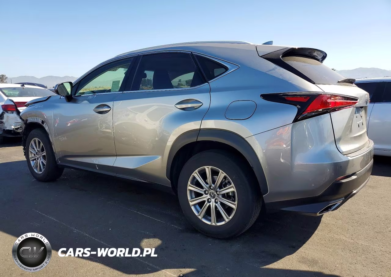 2019 Lexus Nx 300 Base VIN:JTJYARBZ1K2147593 - 2