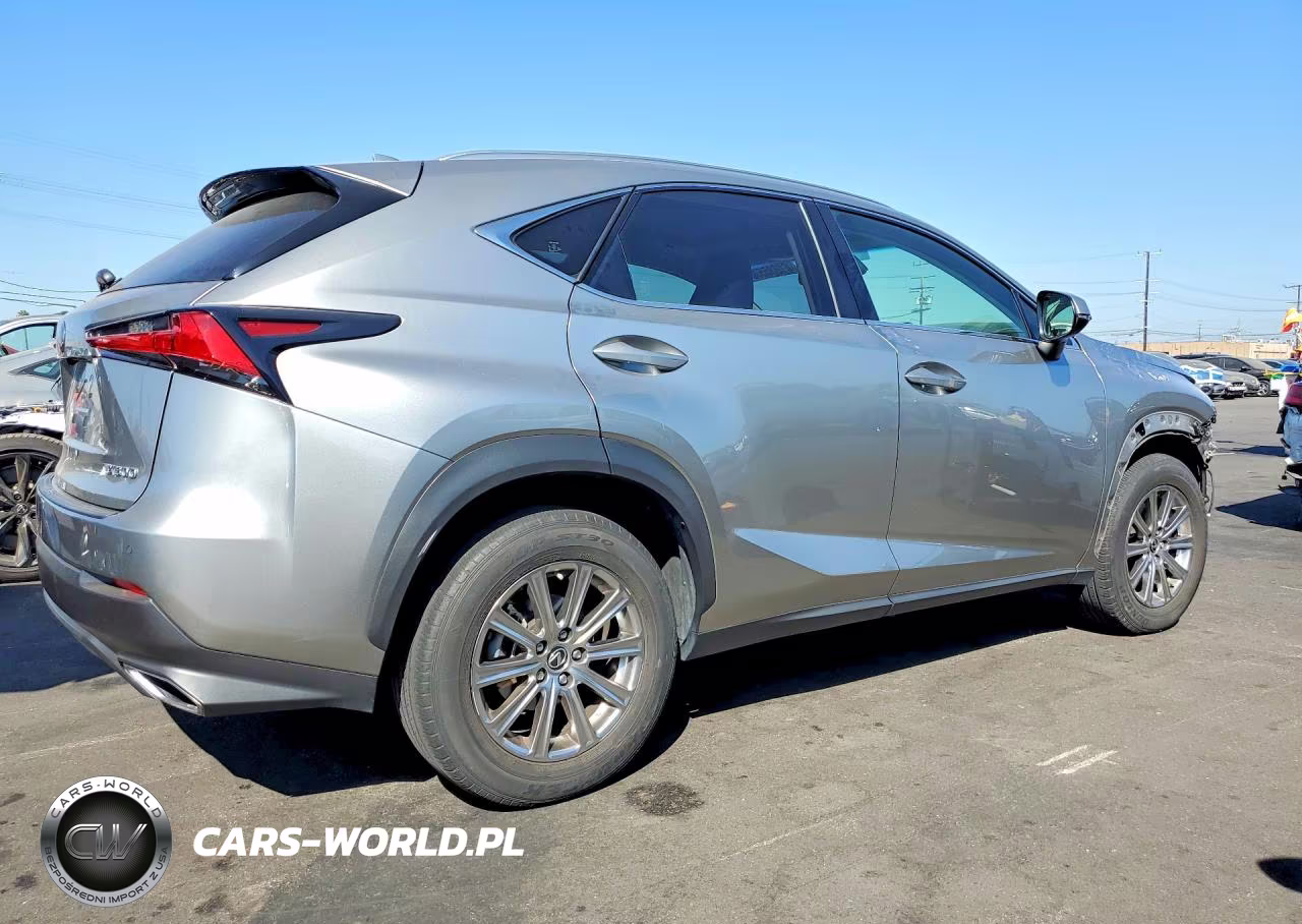2019 Lexus Nx 300 Base VIN:JTJYARBZ1K2147593 - 3