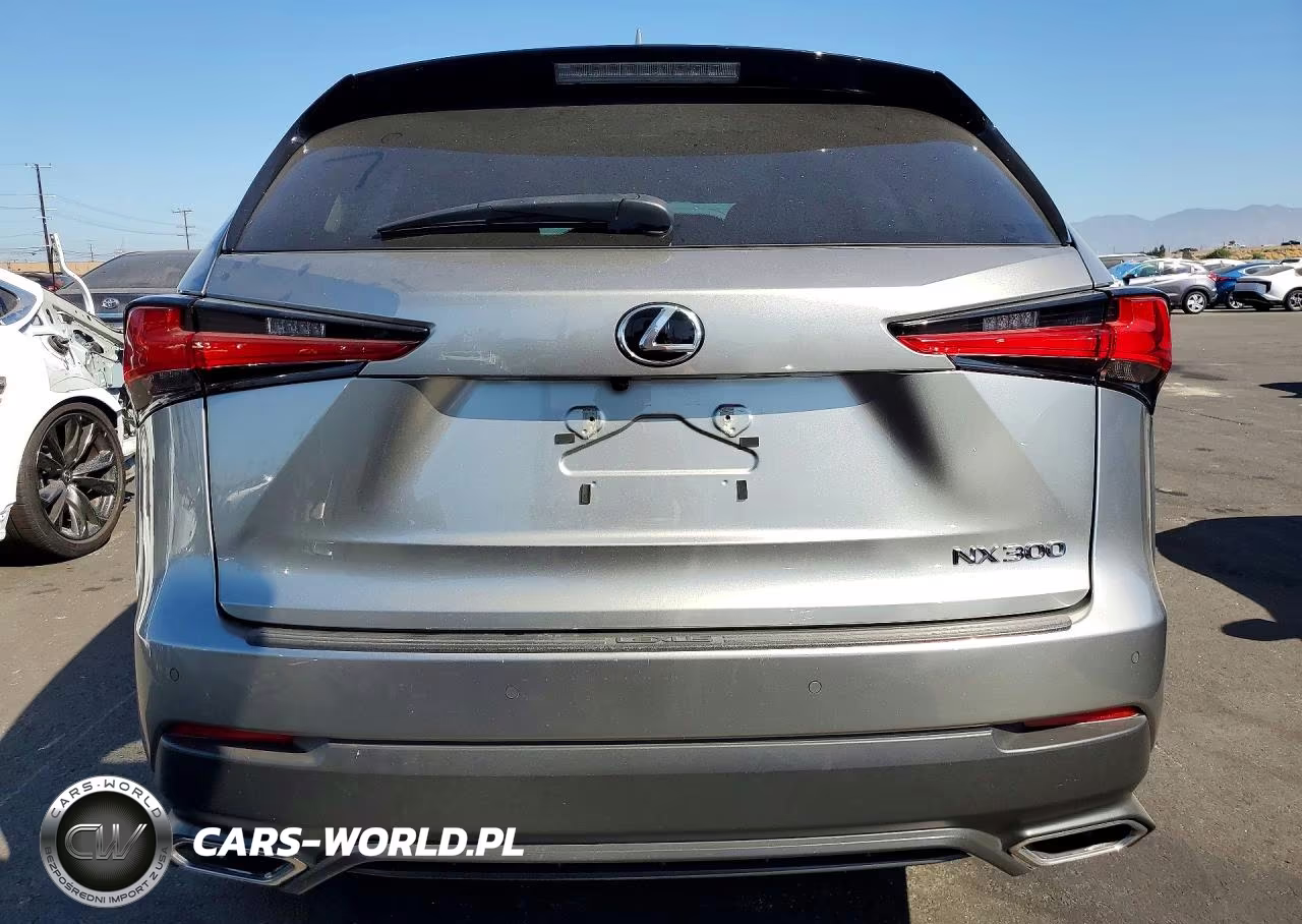 2019 Lexus Nx 300 Base VIN:JTJYARBZ1K2147593 - 6