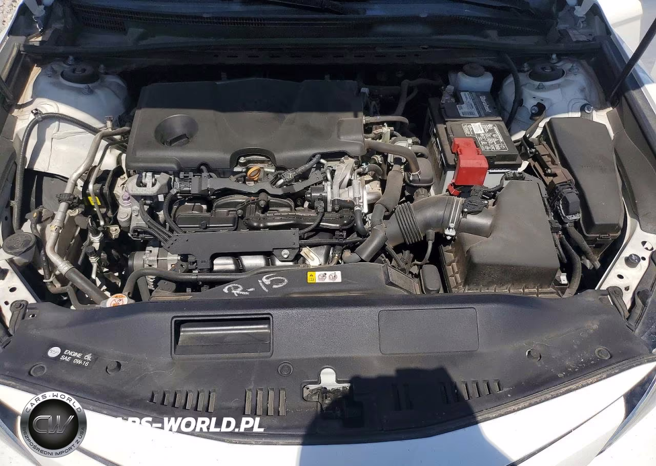 2019 Toyota Camry Le VIN:4T1B11HKXKU776659 - 11