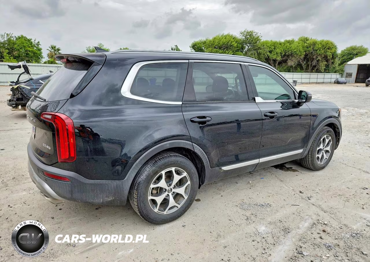 2020 Kia Telluride Ex VIN:5XYP34HC4LG035375 - 3