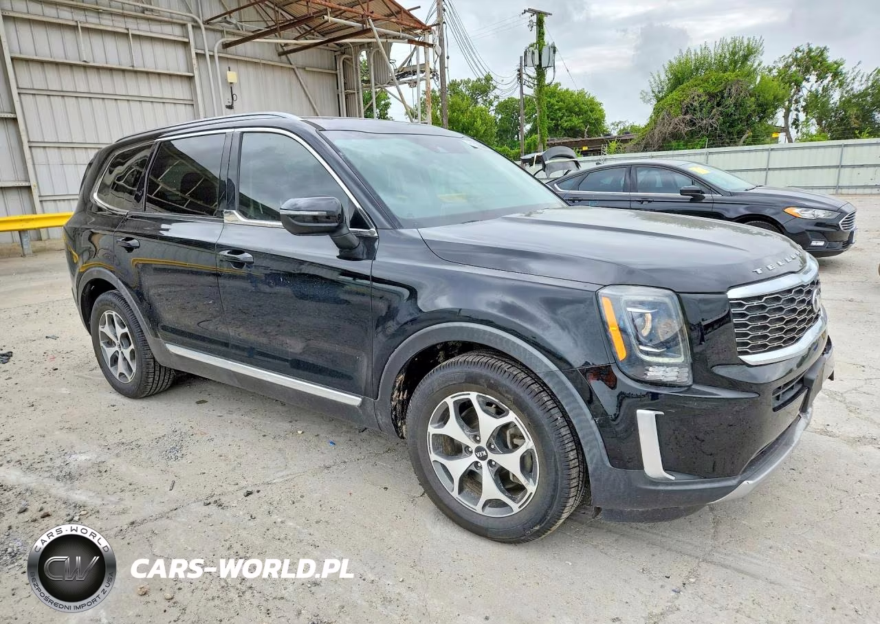 2020 Kia Telluride Ex VIN:5XYP34HC4LG035375 - 4