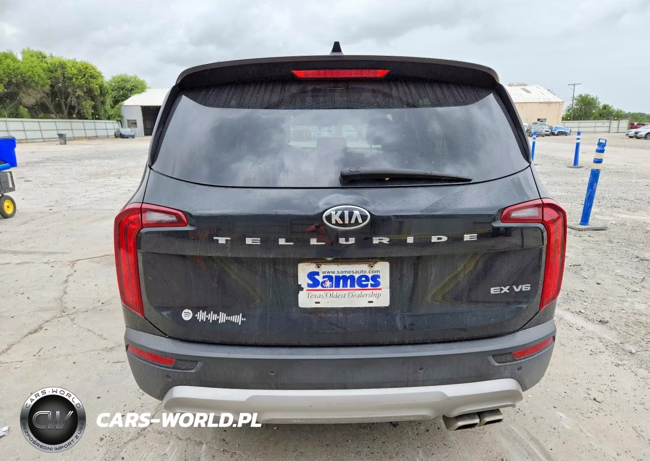 2020 Kia Telluride Ex VIN:5XYP34HC4LG035375 - 6