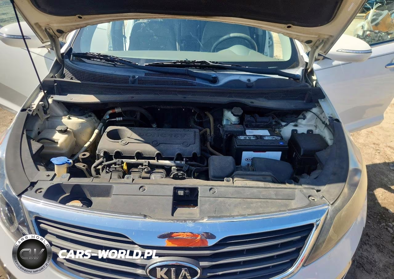 2012 Kia Sportage Ex VIN:KNDPC3A22C7173327 - 12