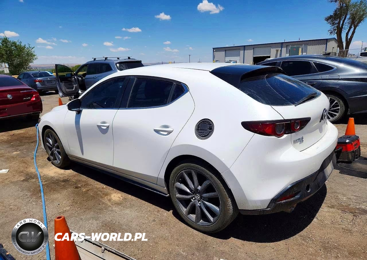2019 Mazda 3 VIN:JM1BPBJM2K1125189 - 2