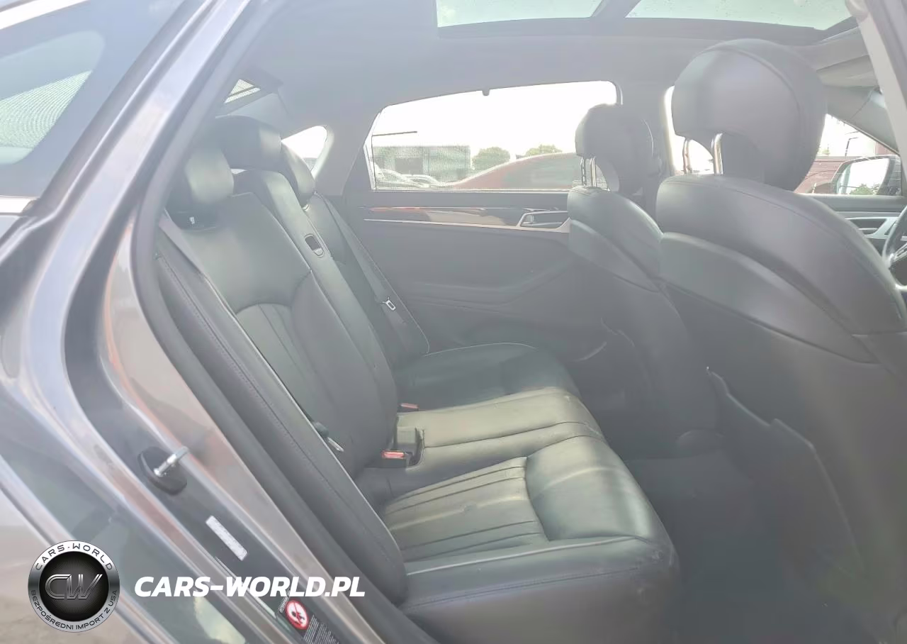 2016 Hyundai Genesis 3.8L VIN:KMHGN4JE9GU120556 - 10