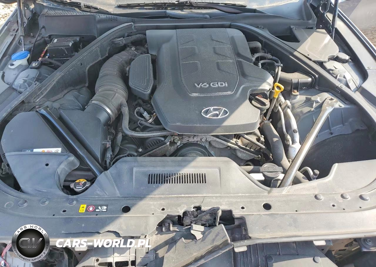 2016 Hyundai Genesis 3.8L VIN:KMHGN4JE9GU120556 - 11