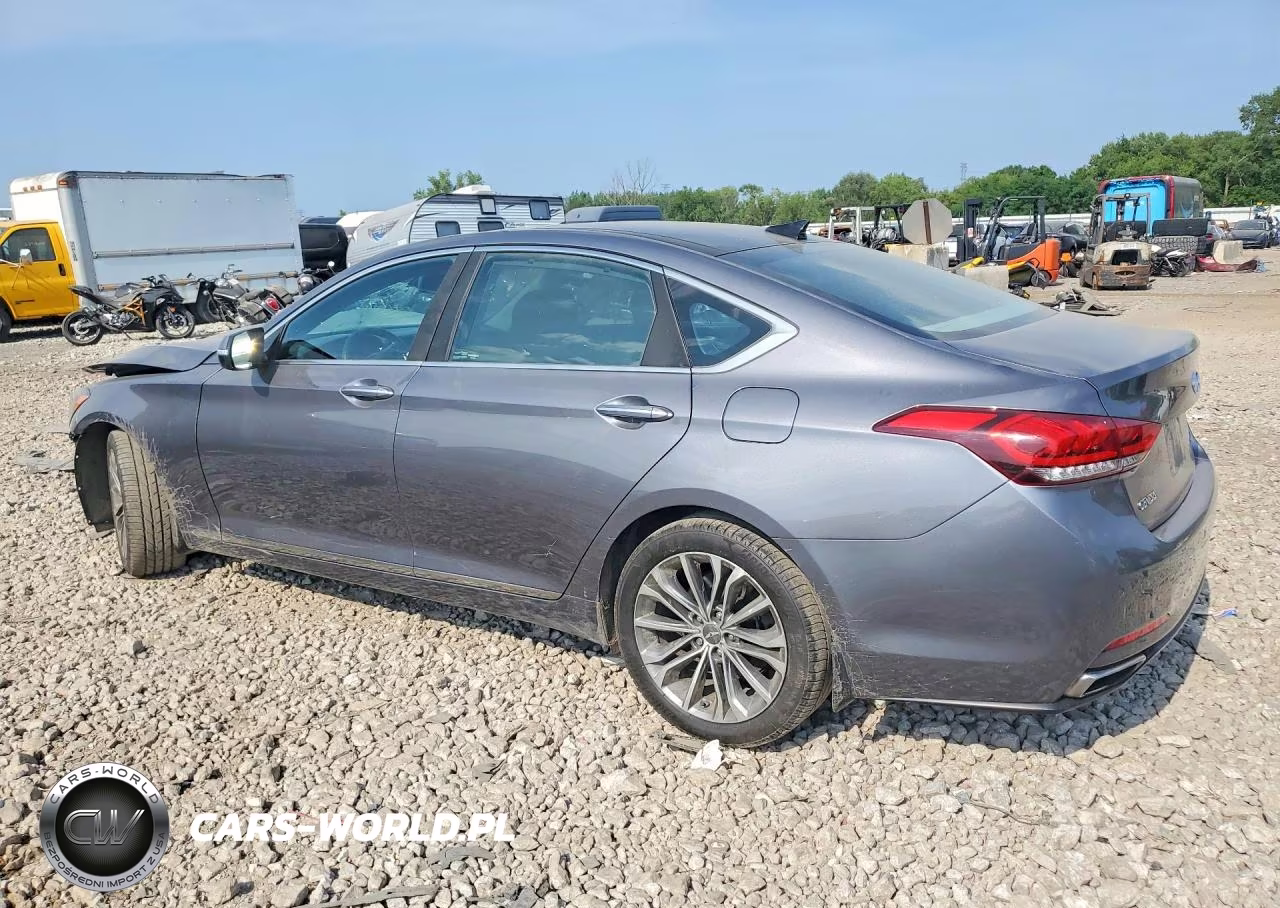2016 Hyundai Genesis 3.8L VIN:KMHGN4JE9GU120556 - 2