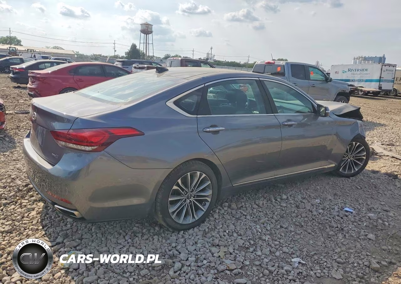 2016 Hyundai Genesis 3.8L VIN:KMHGN4JE9GU120556 - 3