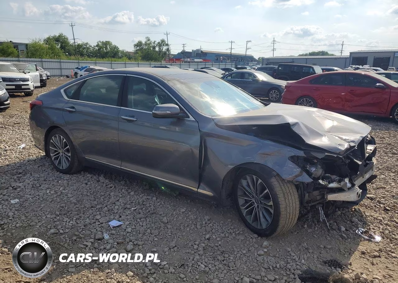2016 Hyundai Genesis 3.8L VIN:KMHGN4JE9GU120556 - 4