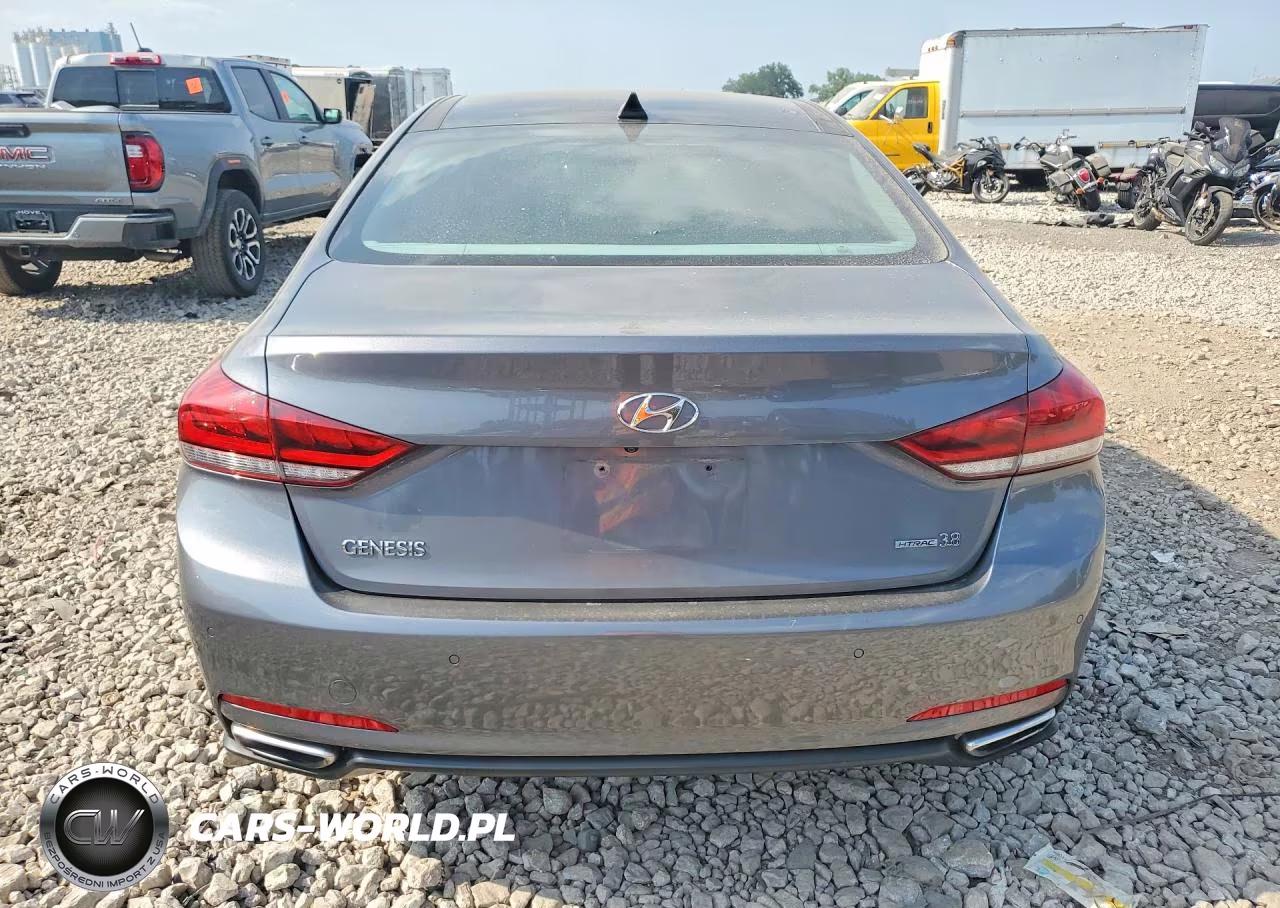 2016 Hyundai Genesis 3.8L VIN:KMHGN4JE9GU120556 - 6