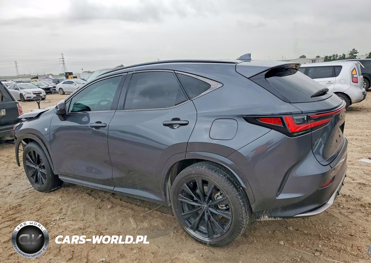 2024 Lexus Nx 350 F Sport Handling VIN:2T2KGCEZ4RC032932 - 2