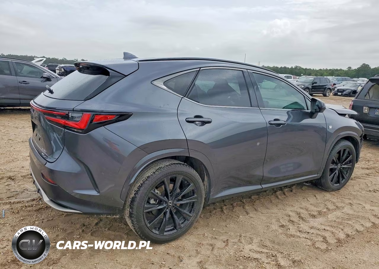 2024 Lexus Nx 350 F Sport Handling VIN:2T2KGCEZ4RC032932 - 3