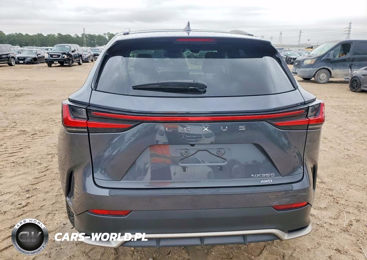2024 Lexus Nx 350 F Sport Handling VIN:2T2KGCEZ4RC032932 - 6