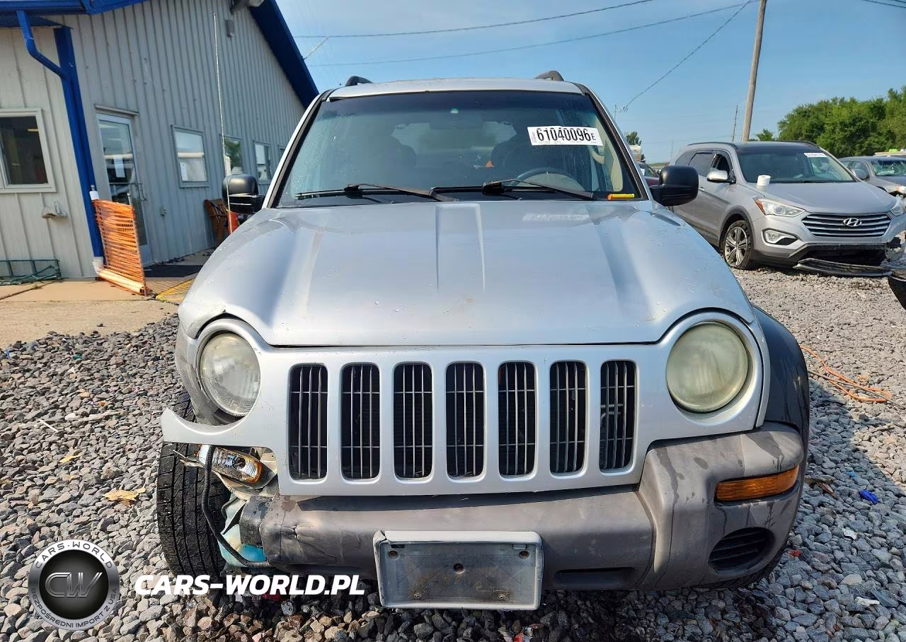 2002 Jeep Liberty Sport VIN:1J4GL48K22W256248 - 5