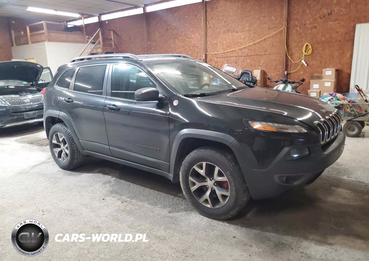 2017 Jeep Cherokee Trailhawk VIN:1C4PJMBS4HW629027 - 4
