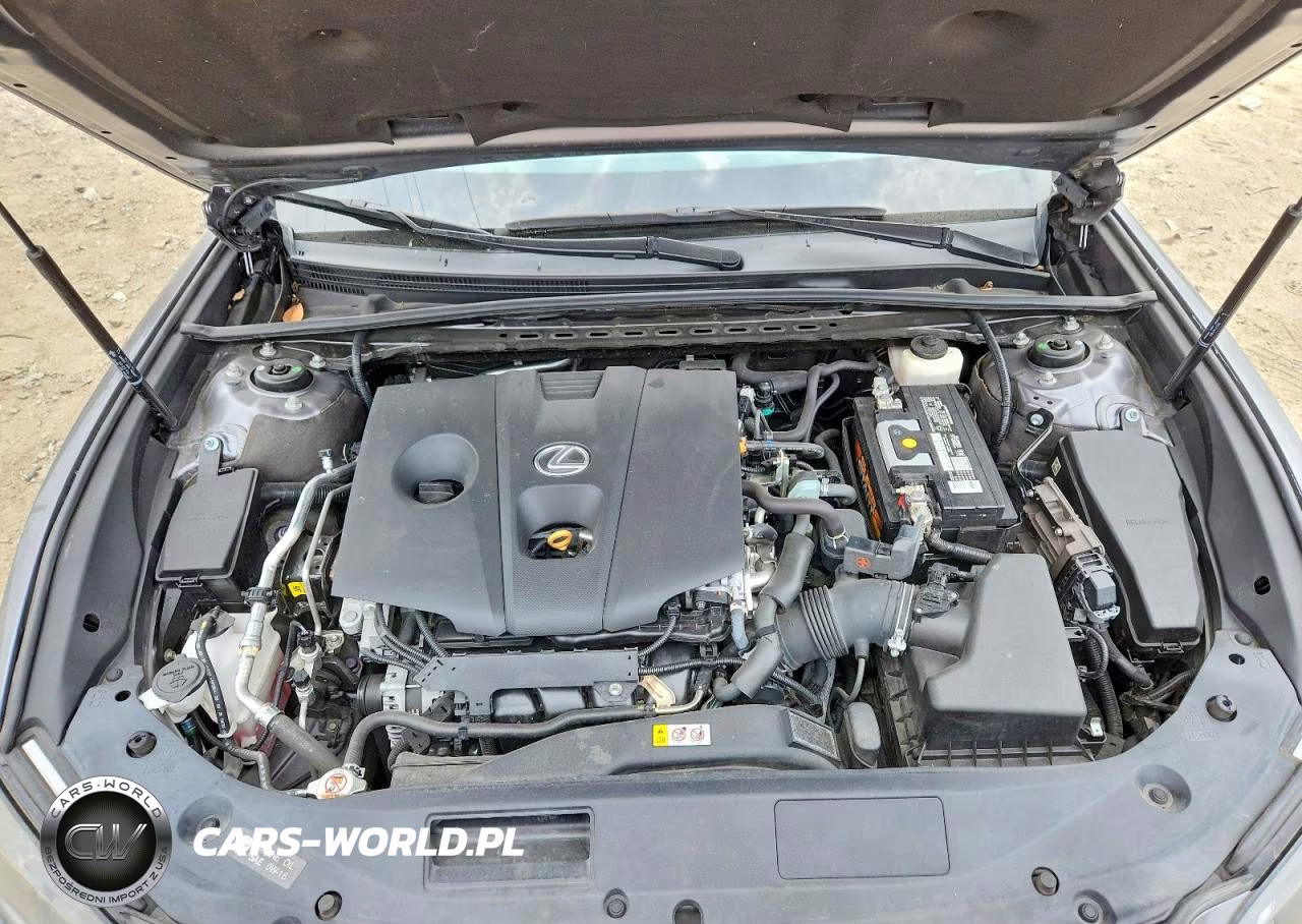 2021 Lexus Es 250 Base VIN:58AD11D14MU001694 - 11