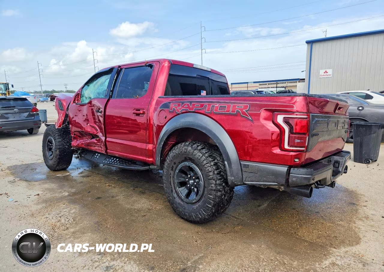 2017 Ford F150 Raptor VIN:1FTFW1RG3HFA64105 - 2