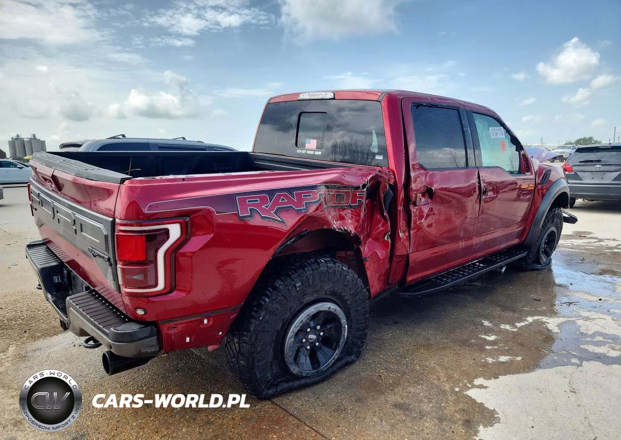 2017 Ford F150 Raptor VIN:1FTFW1RG3HFA64105 - 3