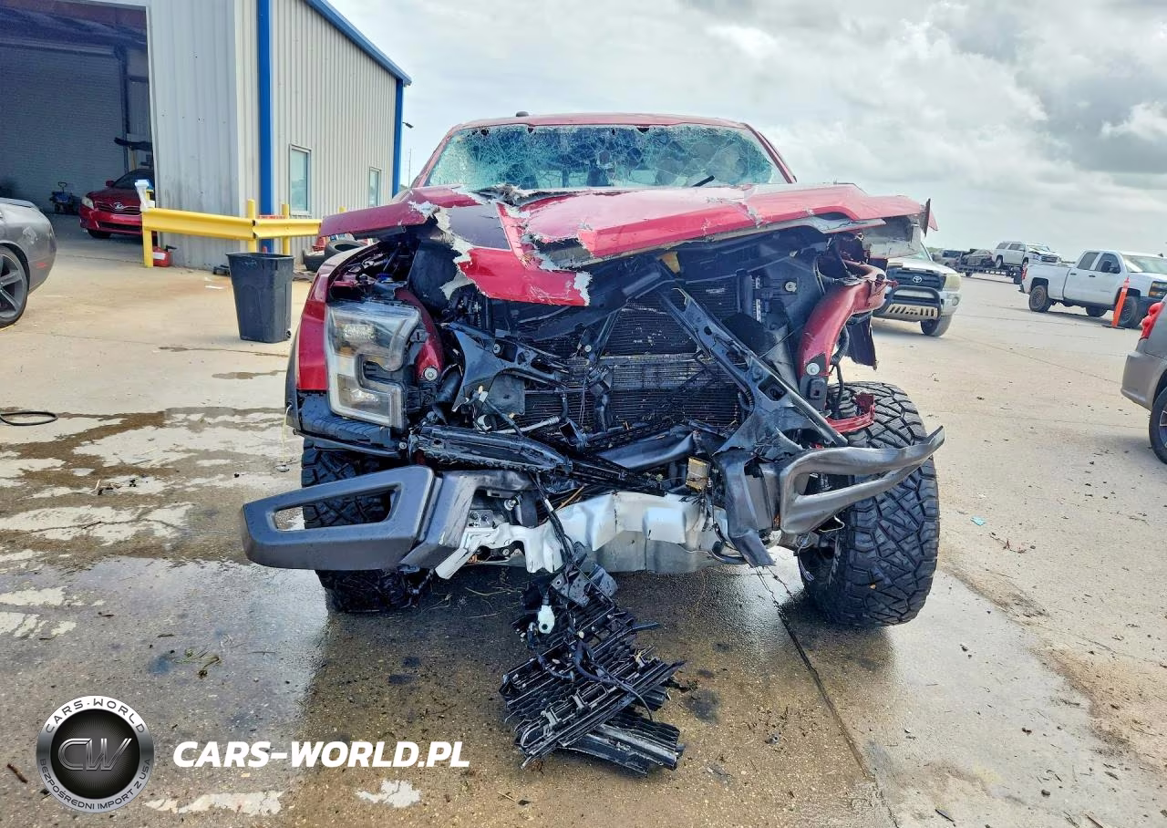 2017 Ford F150 Raptor VIN:1FTFW1RG3HFA64105 - 5