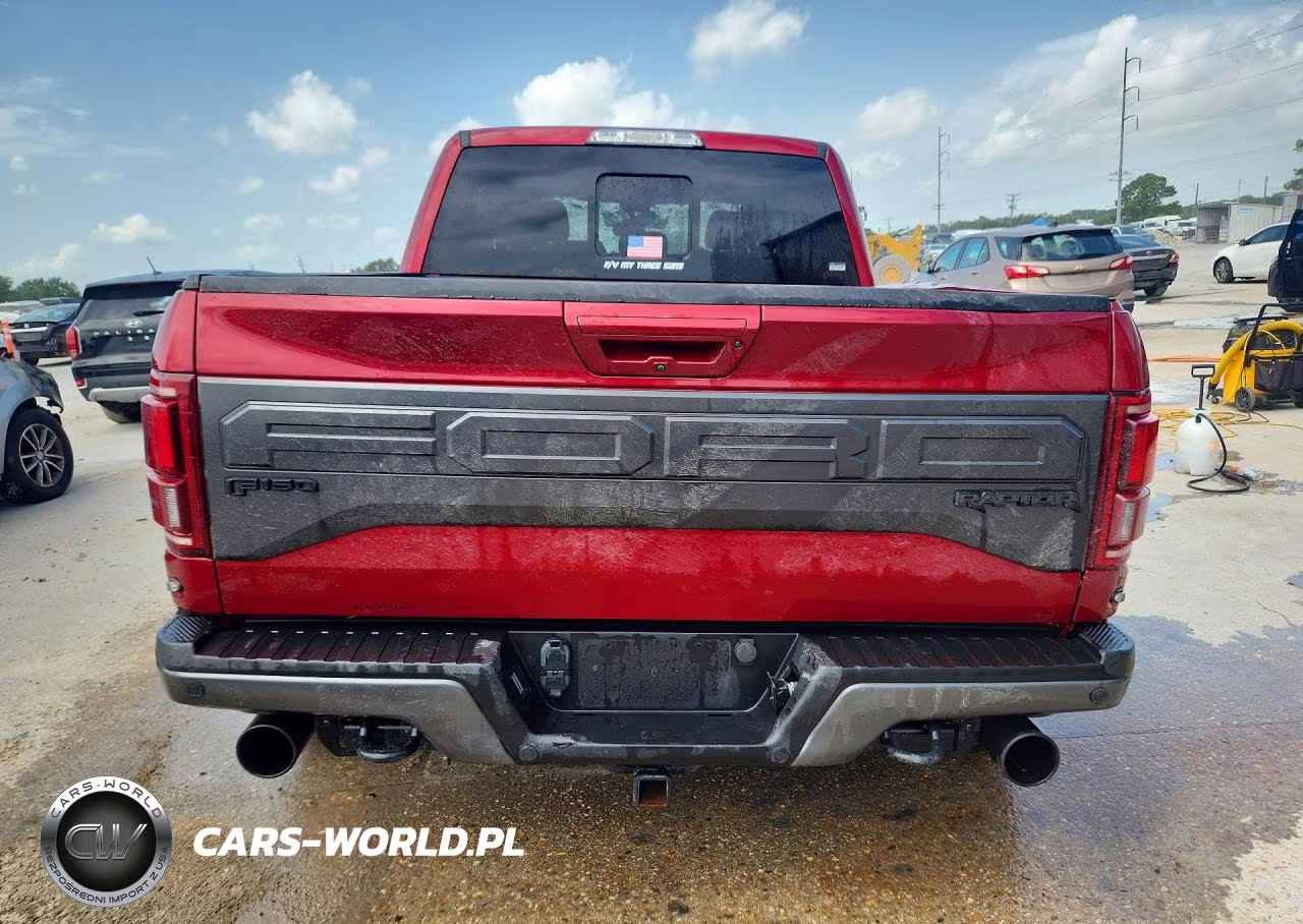 2017 Ford F150 Raptor VIN:1FTFW1RG3HFA64105 - 6
