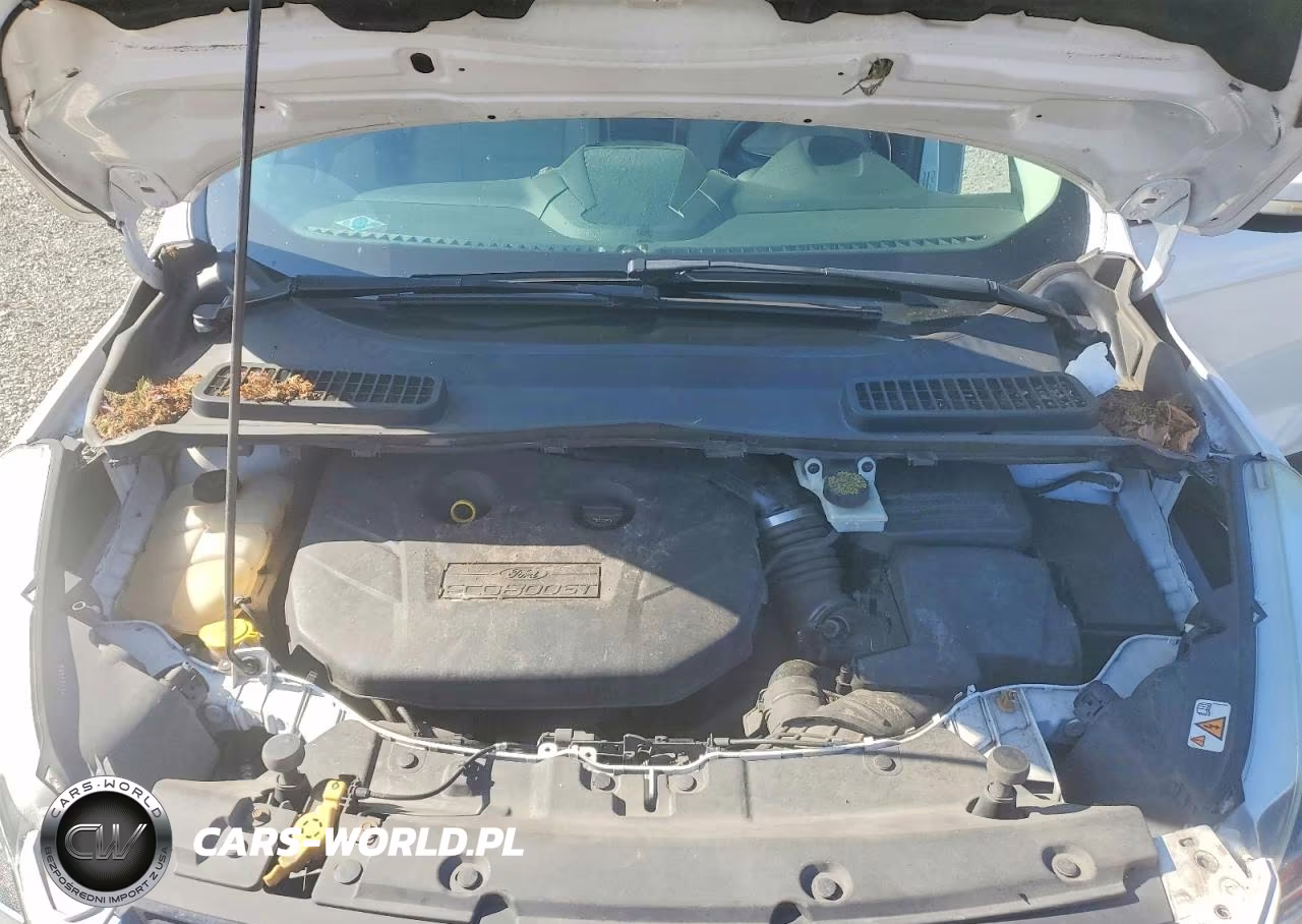 2014 Ford Escape Titanium VIN:1FMCU9J94EUB94501 - 12