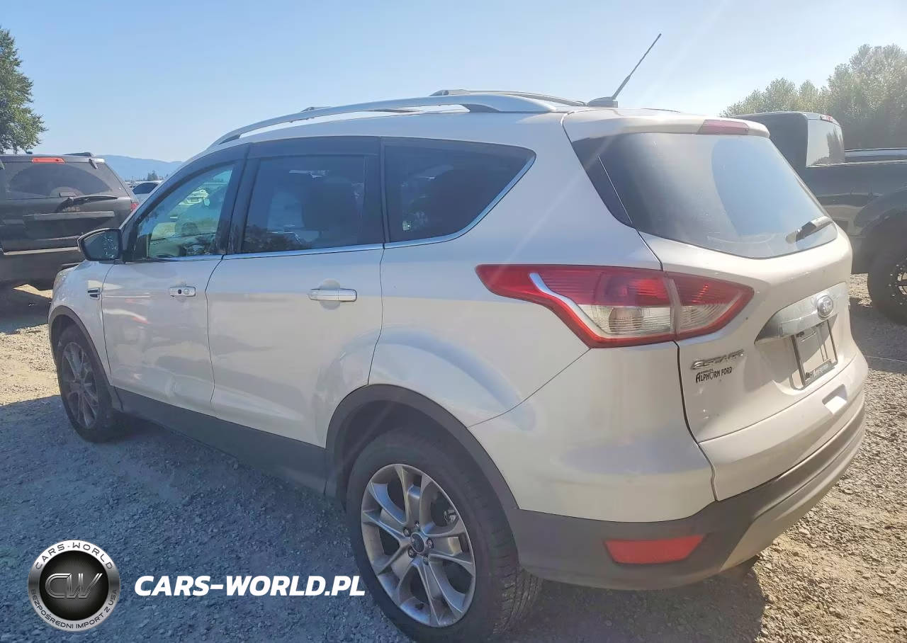 2014 Ford Escape Titanium VIN:1FMCU9J94EUB94501 - 2