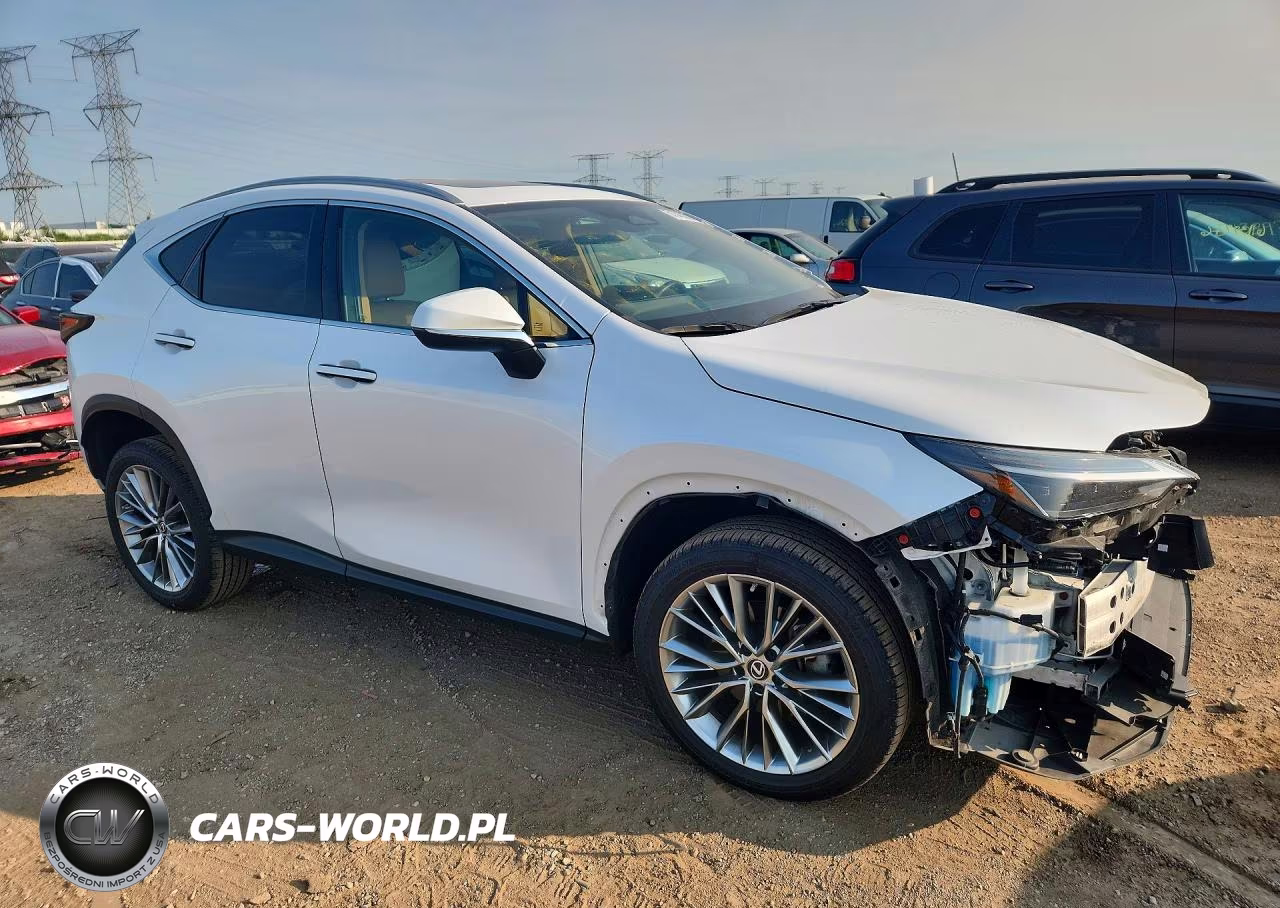 2022 Lexus Nx 350 VIN:2T2HGCEZ7NC009486 - 4