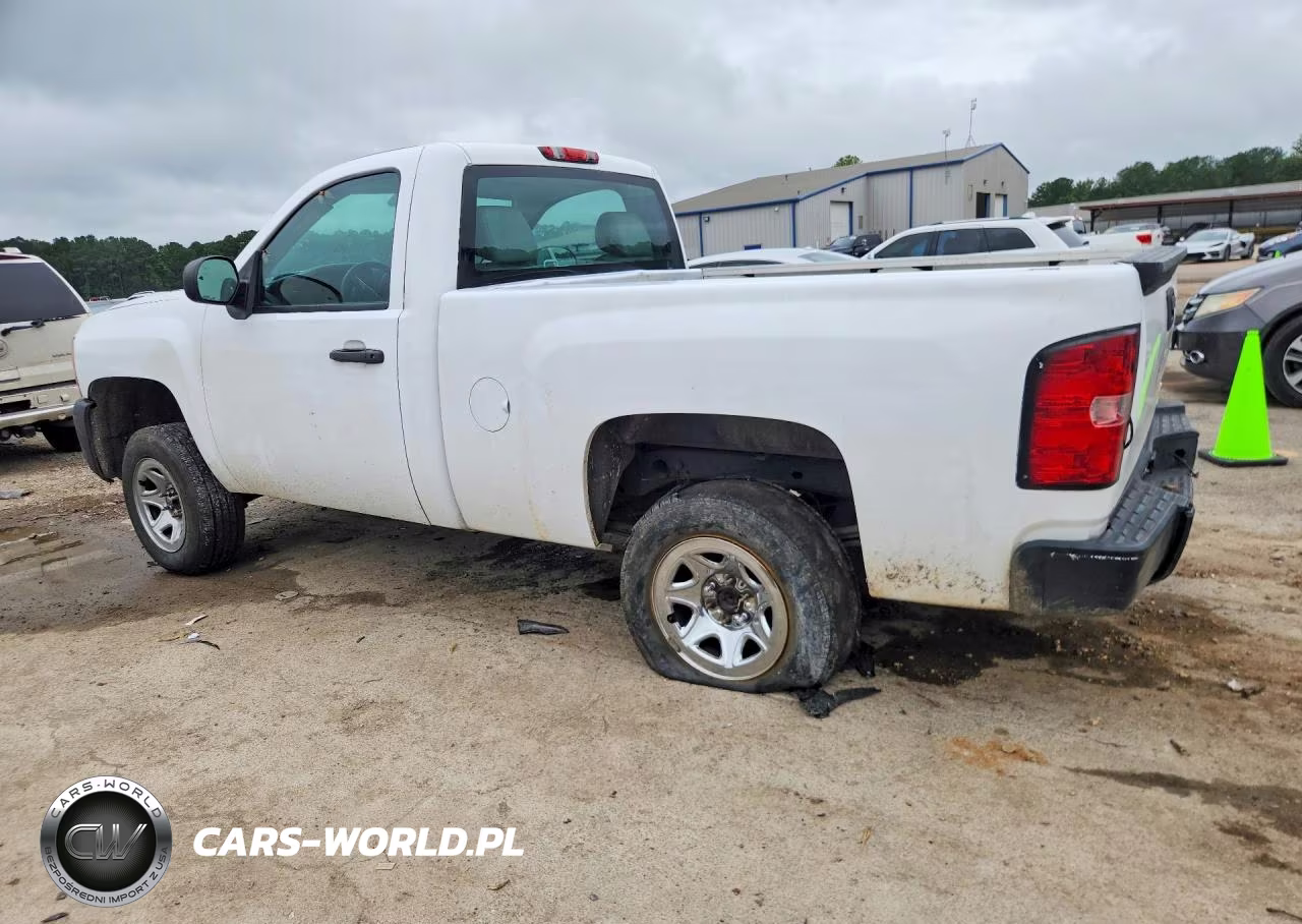 2013 Chevrolet Silverado C1500 VIN:1GCNCPEX0DZ331366 - 2
