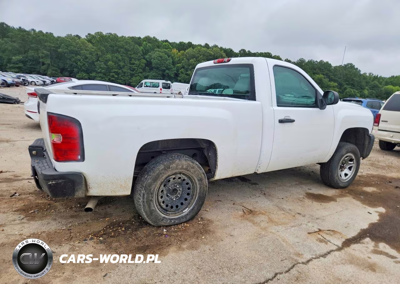 2013 Chevrolet Silverado C1500 VIN:1GCNCPEX0DZ331366 - 3