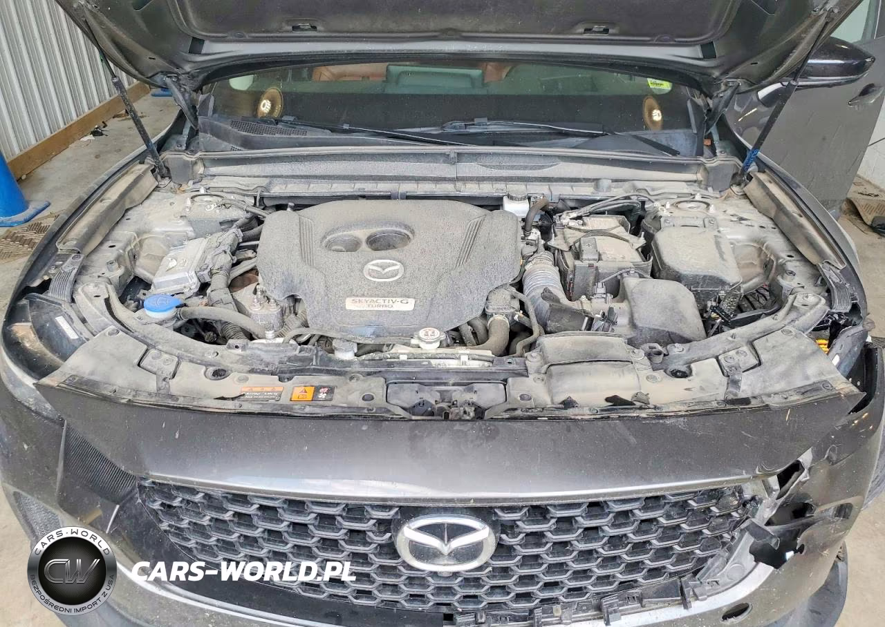 2023 Mazda Cx-50 Premium Plus VIN:7MMVABEY5PN137302 - 12
