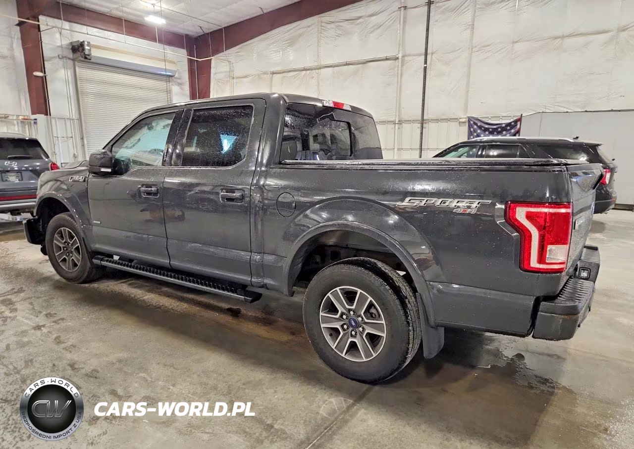 2016 Ford F150 Supercrew VIN:1FTEW1EP7GKD23802 - 2